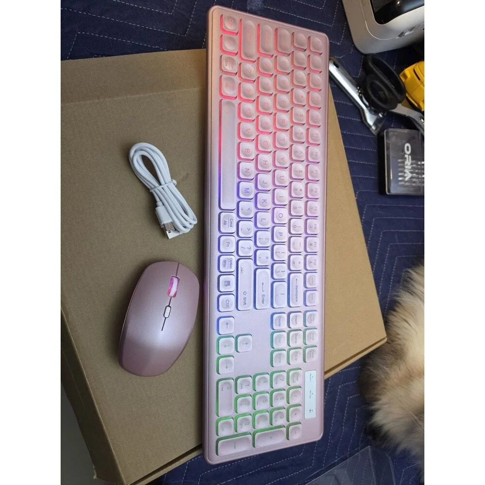 Trueque KM42Pro Wireless Keyboard and Mouse Combo - RoseGold Rechargeable